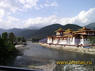   (Punakha Dzong) 